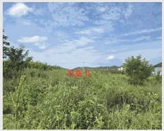  2025Ÿ��31692 ��� ���ֱ� ������ ���긮 271-8      ����(��1)���