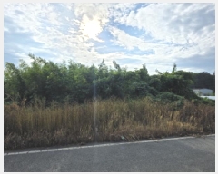  2025Ÿ��31692 ��� ���ֱ� ������ ���긮 271-8      ����(��1)���