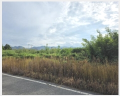  2025Ÿ��31692 ��� ���ֱ� ������ ���긮 271-8      ����(��1)���