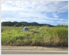  2025Ÿ��31692 ��� ���ֱ� ������ ���긮 271-8      ����(��1)���