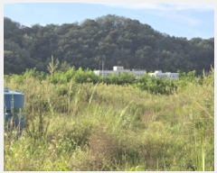  2025Ÿ��31692 ��� ���ֱ� ������ ���긮 271-8      ����(��1)���