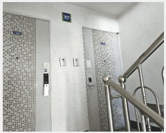  2025Ÿ��31710  ����Ʈ���