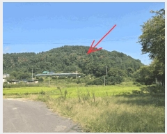  2025Ÿ��31747 �뱸 �޼��� ��ǳ�� �븮 ��10      ����(�Ӿ�)���