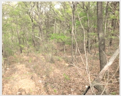  2025Ÿ��881  �Ӿ߰��