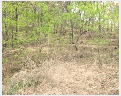  2025Ÿ��881  �Ӿ߰��