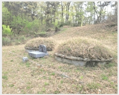  2025Ÿ��881  �Ӿ߰��