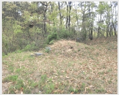  2025Ÿ��881  �Ӿ߰��