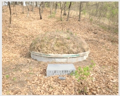  2025Ÿ��881  �Ӿ߰��