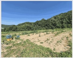  2025Ÿ��1129  �����