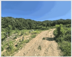  2025Ÿ��1129  �����