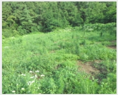  2025Ÿ��1129  �����