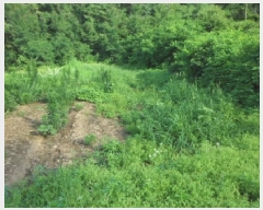  2025Ÿ��1129  �����