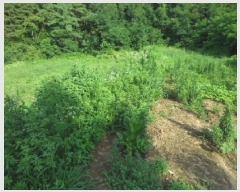  2025Ÿ��1129  �����