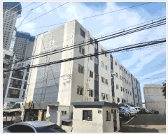  2025Ÿ��1181  ����Ʈ���