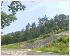  2025Ÿ1365 뱸 ޼ ٻ ڰ 25-2      (Ӿ)