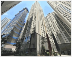  2025Ÿ1433 뱸 ޼ ﵿ 709 Ʈ۽Ʈ 104 161603ȣ    ǽڰ