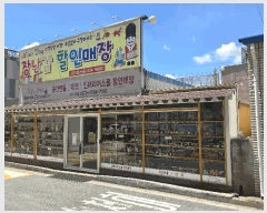  2025Ÿ��1488 �뱸 �޼��� ������ ���� 137-16      ��,�繫�ǰ��