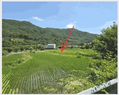  2025Ÿ1785 뱸 ޼ â 긮 1033      ()