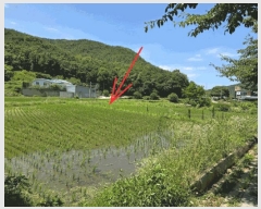  2025Ÿ1785 뱸 ޼ â 긮 1033      ()