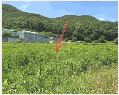  2025Ÿ1785 뱸 ޼ â 긮 1033      ()