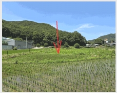  2025Ÿ1785 뱸 ޼ â 긮 1033      ()