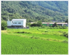  2025Ÿ1785 뱸 ޼ â 긮 1033      ()