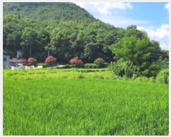  2025Ÿ1785 뱸 ޼ â 긮 1033      ()