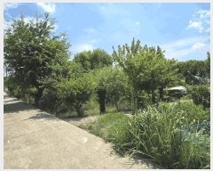  2025Ÿ1969 뱸 ޼ ȭ  1294      ()