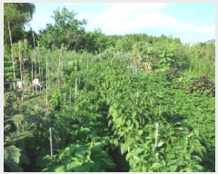  2025Ÿ1969 뱸 ޼ ȭ  1294      ()