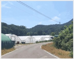  2025Ÿ��2153 ��� ���ֱ� ������ �ھ縮 328      ����(��)���