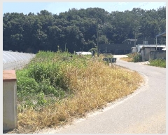  2025Ÿ��2153 ��� ���ֱ� ������ �ھ縮 328      ����(��)���