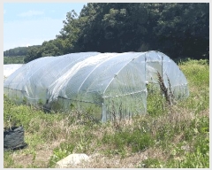  2025Ÿ��2153 ��� ���ֱ� ������ �ھ縮 328      ����(��)���