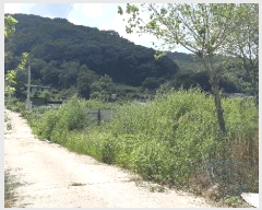  2025Ÿ��2504 ��� ���ɱ� ���� ������ 586-3      ����(��)���