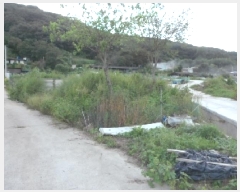  2025Ÿ��2504 ��� ���ɱ� ���� ������ 586-3      ����(��)���