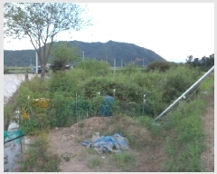  2025Ÿ��2504 ��� ���ɱ� ���� ������ 586-3      ����(��)���