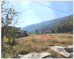  2025Ÿ��3224 ��� ���ɱ� ���� �Ӹ� 5      ����(��1)���