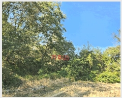  2025Ÿ��3224 ��� ���ɱ� ���� �Ӹ� 5      ����(��1)���