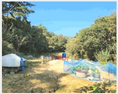  2025Ÿ��3224 ��� ���ɱ� ���� �Ӹ� 5      ����(��1)���