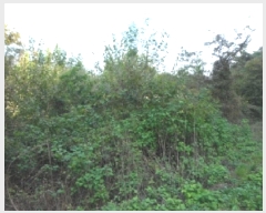  2025Ÿ��3224 ��� ���ɱ� ���� �Ӹ� 5      ����(��1)���