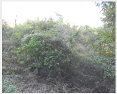  2025Ÿ��3224 ��� ���ɱ� ���� �Ӹ� 5      ����(��1)���