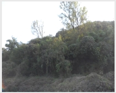  2025Ÿ��3224 ��� ���ɱ� ���� �Ӹ� 5      ����(��1)���