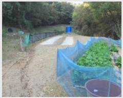  2025Ÿ��3224 ��� ���ɱ� ���� �Ӹ� 5      ����(��1)���