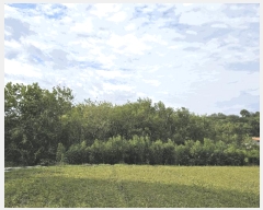  2025Ÿ��3392 �뱸 �޼��� ��ǳ�� ���� 1019      ����(��1)���