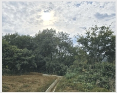  2025Ÿ��3392 �뱸 �޼��� ��ǳ�� ���� 1019      ����(��1)���