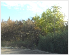  2025Ÿ��3392 �뱸 �޼��� ��ǳ�� ���� 1019      ����(��1)���