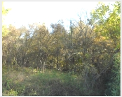  2025Ÿ��3392 �뱸 �޼��� ��ǳ�� ���� 1019      ����(��1)���