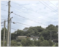  2025Ÿ��3392 �뱸 �޼��� ��ǳ�� ���� 1019      ����(��1)���