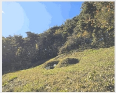  2025Ÿ��3613 ��� ���ֱ� ���׸� ���渮 ��72-1      ����(�Ӿ�)���