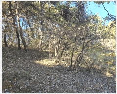  2025Ÿ��3613 ��� ���ֱ� ���׸� ���渮 ��72-1      ����(�Ӿ�)���