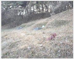  2025Ÿ��3613 ��� ���ֱ� ���׸� ���渮 ��72-1      ����(�Ӿ�)���